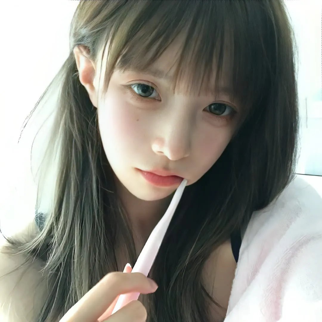 鹿枫堂四色日和2022