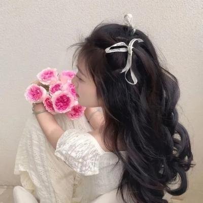 芭比之公主的冒险